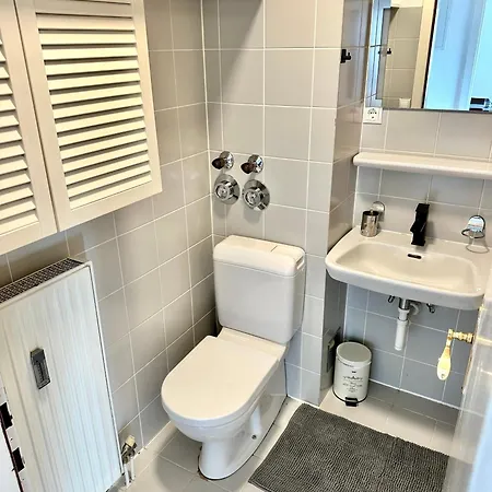 Am Bregenzer Hafen * بريجنتس